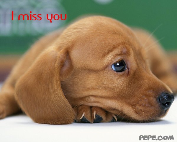 I miss you