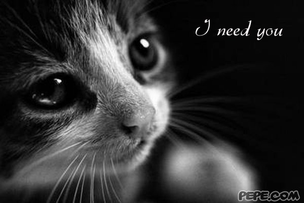 I need you