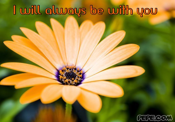 I will always be with you