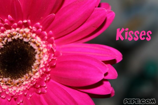 Kisses