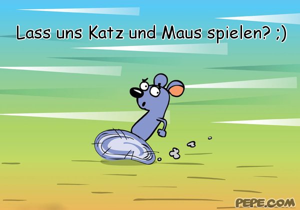 katz und maus spielen katz und maus spielen