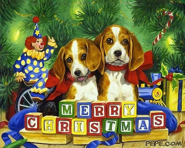 Merry Christmas