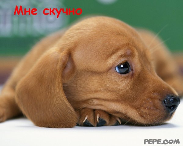 картинка мне скучно онлайн картинка мне скучно