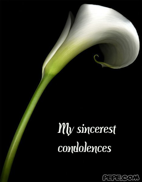 My sincerest condolences