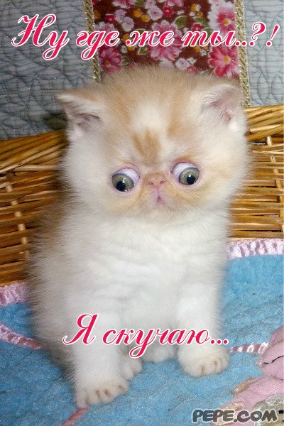 Где же ты открытка Где же ты открытка