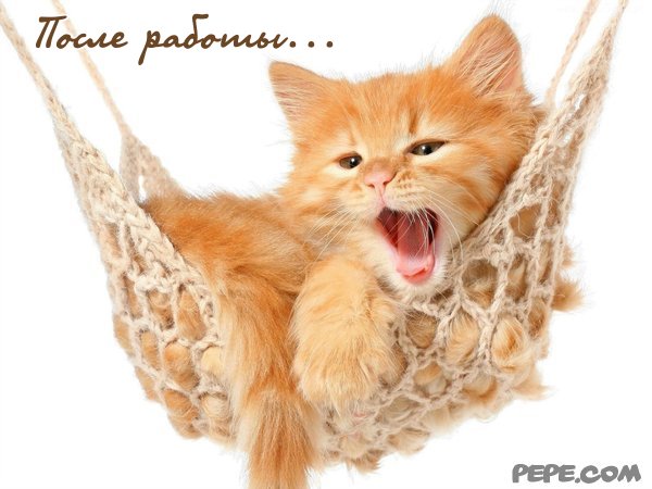 картинки после работы онлайн картинки после работы