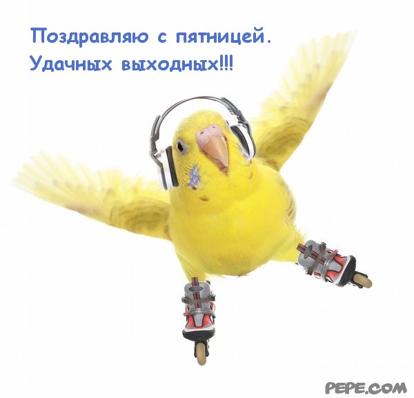 Текст для открыток Текст для открыток