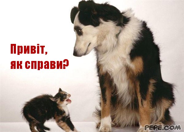 Привіт. як справи?