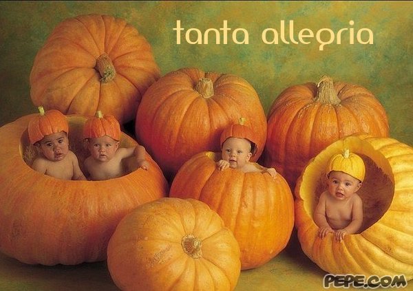 tanta_allegria_0.jpg
