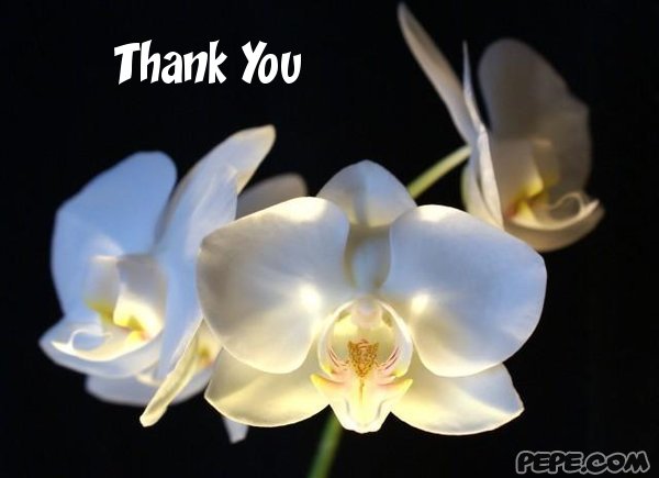 Thank You
