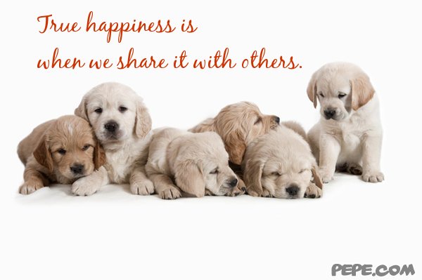 True happiness is when we share it with others.