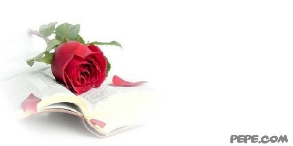 Wedding Anniwersary Party!    And you are invited...