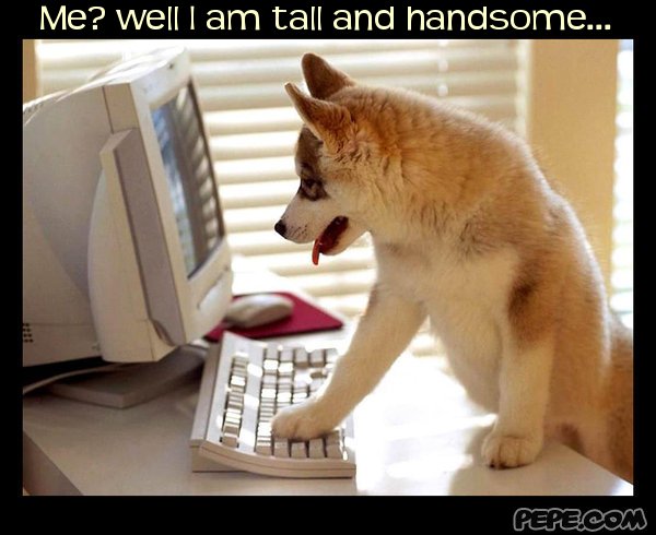 well I am tall and handsome... 