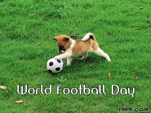 World Football Day