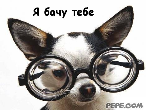 Я бачу тебе