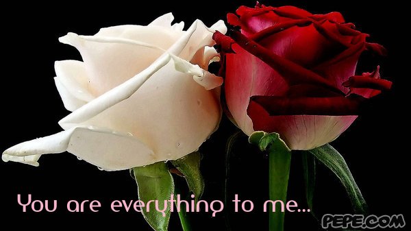 You are everything to me