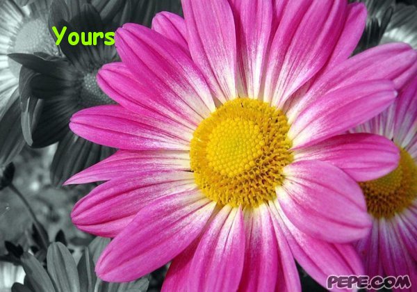Yours