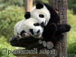 Приласкай меня