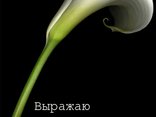Выражаю соболезнование