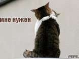 Ты мне нужен