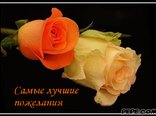 Самые лучшие пожелания