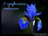 С праздником, любимая