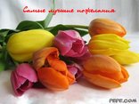 Самые лучшие пожелания