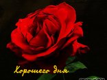 Хорошего дня