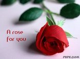 A rose for you