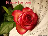 A rose for you