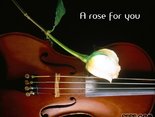 A rose for you