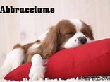 Abbracciame