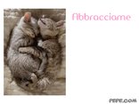 Abbracciame