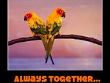 Always together...