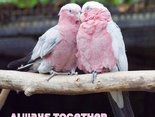 Always together...
