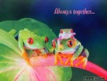 Always together...