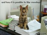 and how it is possible to like mondays?