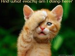 And what exactly am I doing here?