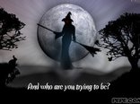 And who are you trying to be?