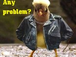 Any problem?
