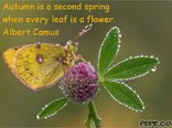 Autumn is a second spring when every leaf is a flower