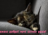 Бажаю доброї ночі сотню разів! 