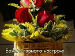 Бажаю гарного настрою...