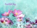 Beautiful day