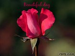 Beautiful day