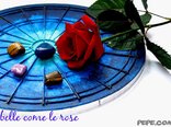 belle come le rose