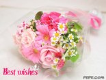 Best wishes