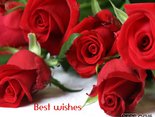 Best wishes