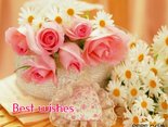 Best wishes