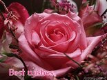 Best wishes